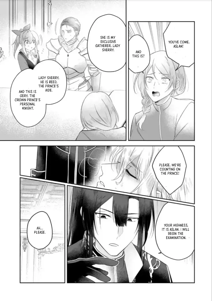 Seijou no Ane desu ga, Imouto no Tame no Tokushu Masekiya Tokushu Yakusou no Saishu wo Yametara, Ringoku no Majutsushi-sama no Moto de Shiawase ni narimashita! Chapter 3 page 17