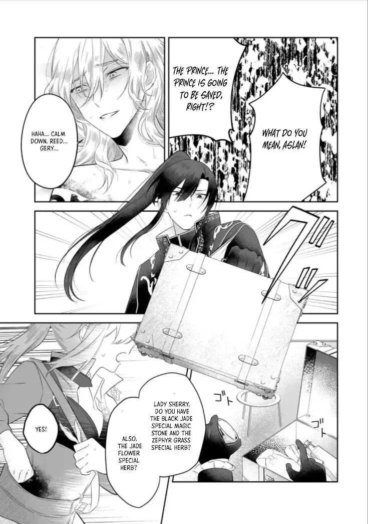 Seijou no Ane desu ga, Imouto no Tame no Tokushu Masekiya Tokushu Yakusou no Saishu wo Yametara, Ringoku no Majutsushi-sama no Moto de Shiawase ni narimashita! Chapter 3 page 19
