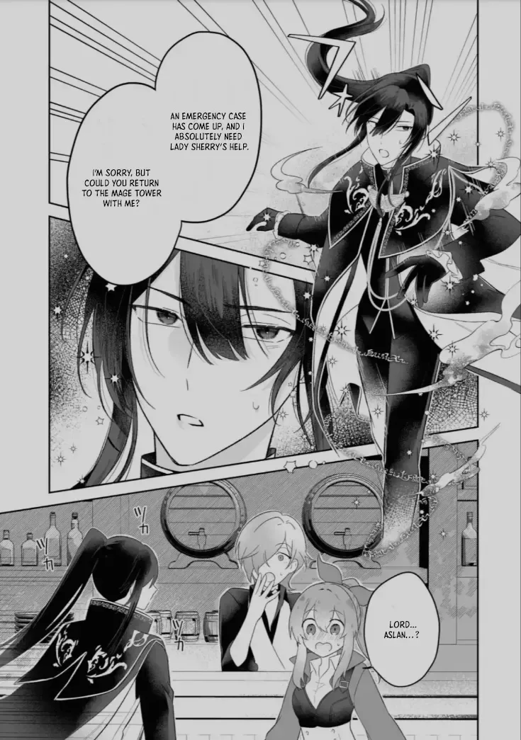 Seijou no Ane desu ga, Imouto no Tame no Tokushu Masekiya Tokushu Yakusou no Saishu wo Yametara, Ringoku no Majutsushi-sama no Moto de Shiawase ni narimashita! Chapter 3 page 9