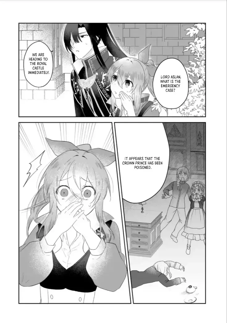 Seijou no Ane desu ga, Imouto no Tame no Tokushu Masekiya Tokushu Yakusou no Saishu wo Yametara, Ringoku no Majutsushi-sama no Moto de Shiawase ni narimashita! Chapter 3 page 12