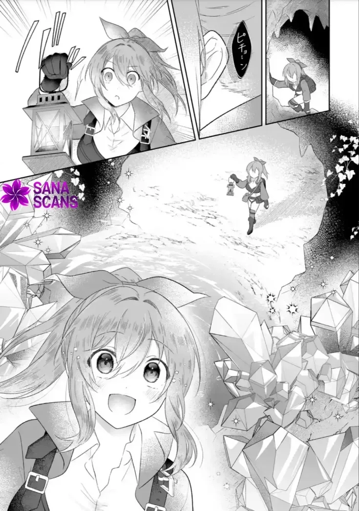 Seijou no Ane desu ga, Imouto no Tame no Tokushu Masekiya Tokushu Yakusou no Saishu wo Yametara, Ringoku no Majutsushi-sama no Moto de Shiawase ni narimashita! Chapter 4 page 5
