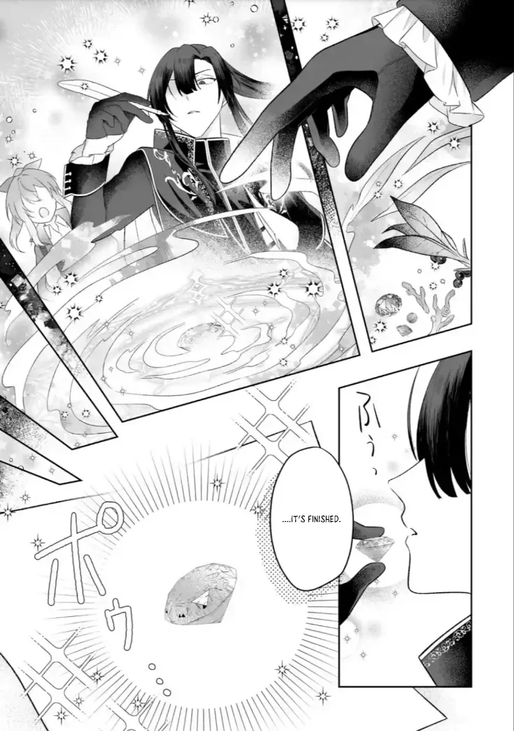 Seijou no Ane desu ga, Imouto no Tame no Tokushu Masekiya Tokushu Yakusou no Saishu wo Yametara, Ringoku no Majutsushi-sama no Moto de Shiawase ni narimashita! Chapter 4 page 9