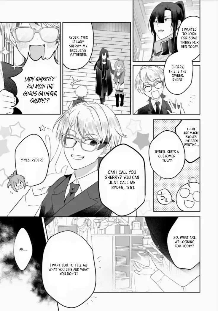 Seijou no Ane desu ga, Imouto no Tame no Tokushu Masekiya Tokushu Yakusou no Saishu wo Yametara, Ringoku no Majutsushi-sama no Moto de Shiawase ni narimashita! Chapter 4 page 27