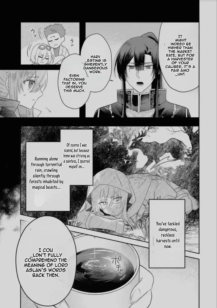 Seijou no Ane desu ga, Imouto no Tame no Tokushu Masekiya Tokushu Yakusou no Saishu wo Yametara, Ringoku no Majutsushi-sama no Moto de Shiawase ni narimashita! Chapter 6 page 17
