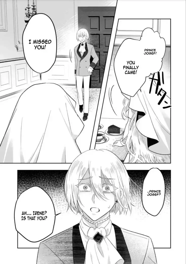 Seijou no Ane desu ga, Imouto no Tame no Tokushu Masekiya Tokushu Yakusou no Saishu wo Yametara, Ringoku no Majutsushi-sama no Moto de Shiawase ni narimashita! Chapter 6 page 9