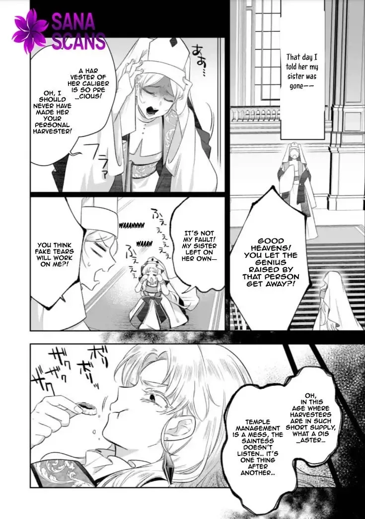 Seijou no Ane desu ga, Imouto no Tame no Tokushu Masekiya Tokushu Yakusou no Saishu wo Yametara, Ringoku no Majutsushi-sama no Moto de Shiawase ni narimashita! Chapter 6 page 6
