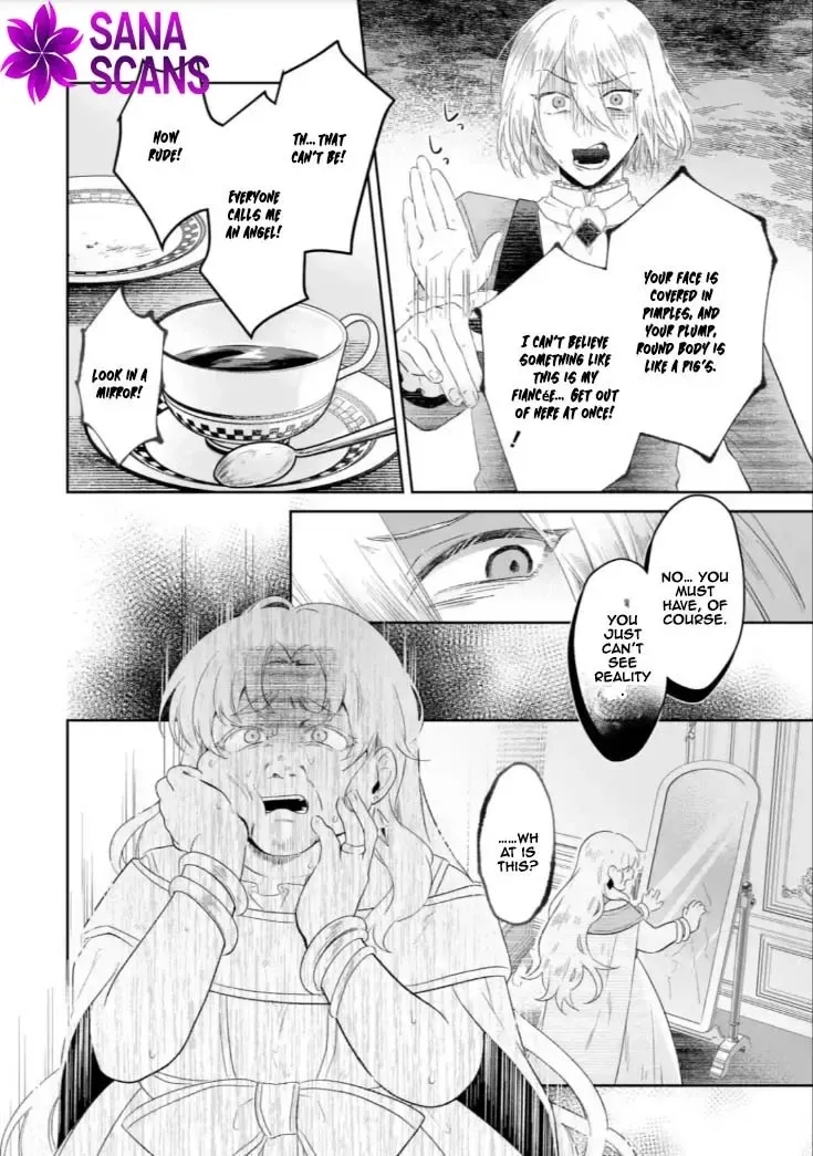 Seijou no Ane desu ga, Imouto no Tame no Tokushu Masekiya Tokushu Yakusou no Saishu wo Yametara, Ringoku no Majutsushi-sama no Moto de Shiawase ni narimashita! Chapter 6 page 12