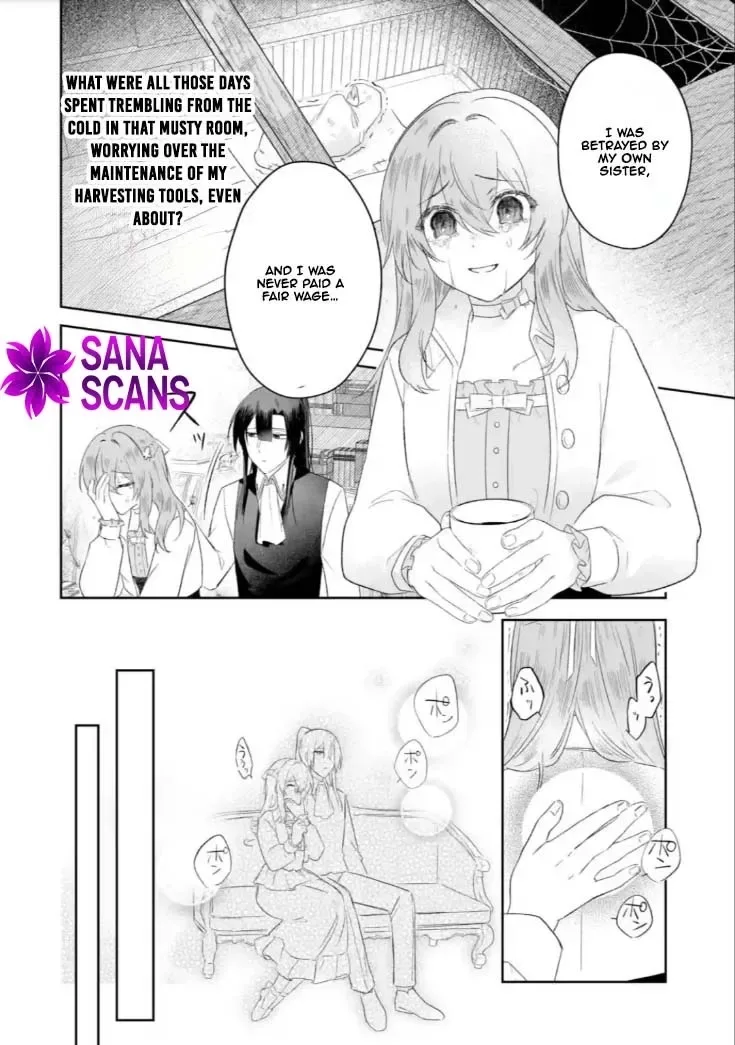 Seijou no Ane desu ga, Imouto no Tame no Tokushu Masekiya Tokushu Yakusou no Saishu wo Yametara, Ringoku no Majutsushi-sama no Moto de Shiawase ni narimashita! Chapter 6 page 18