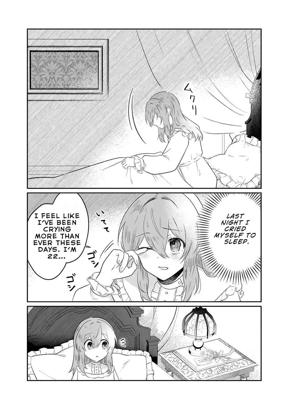 Seijou no Ane desu ga, Imouto no Tame no Tokushu Masekiya Tokushu Yakusou no Saishu wo Yametara, Ringoku no Majutsushi-sama no Moto de Shiawase ni narimashita! Chapter 8 page 4