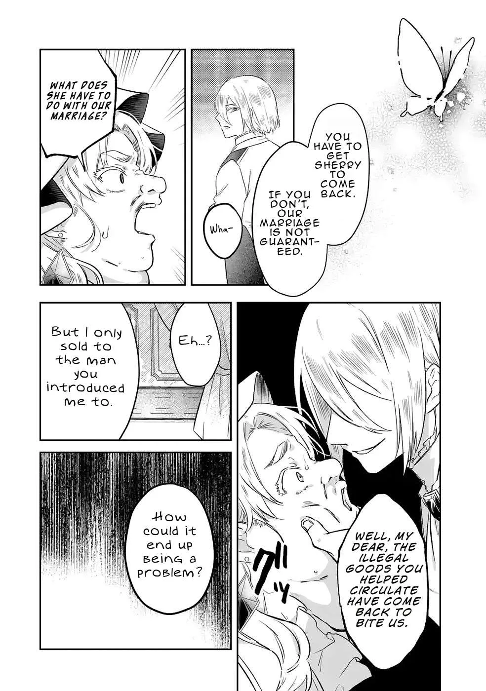 Seijou no Ane desu ga, Imouto no Tame no Tokushu Masekiya Tokushu Yakusou no Saishu wo Yametara, Ringoku no Majutsushi-sama no Moto de Shiawase ni narimashita! Chapter 8 page 19