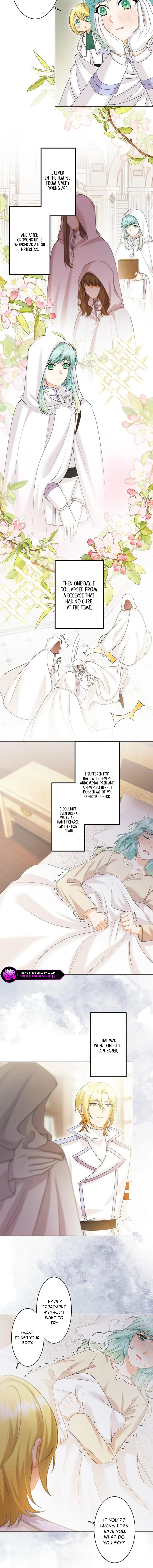 Seiken Reijou no Kareinaru Oshi Katsu ~Aisuru Kishi wa Watashi ga Zenryoku de Mamorimasu~ Chapter 15 page 12