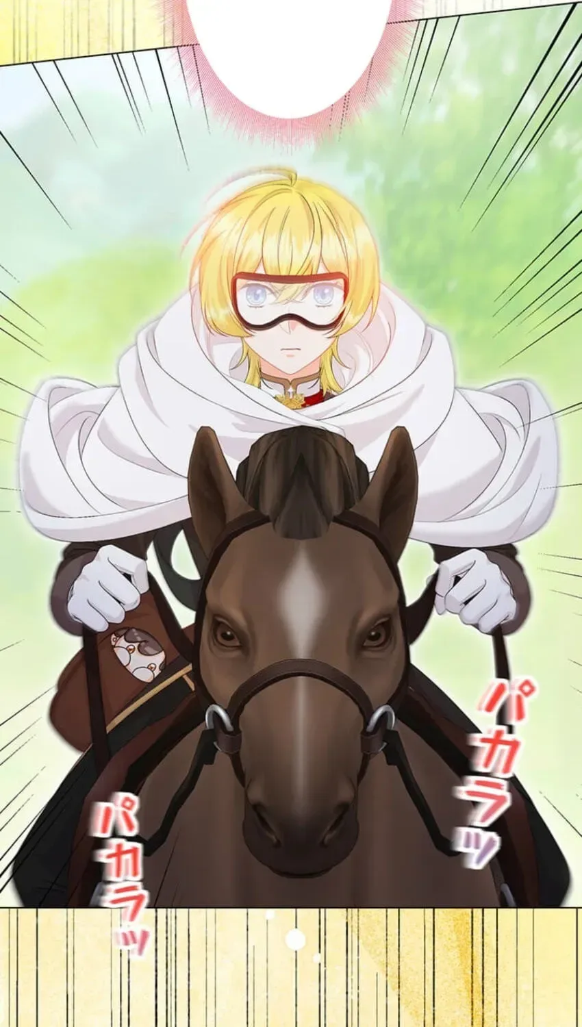 Seiken Reijou no Kareinaru Oshi Katsu ~Aisuru Kishi wa Watashi ga Zenryoku de Mamorimasu~ Chapter 19 page 83