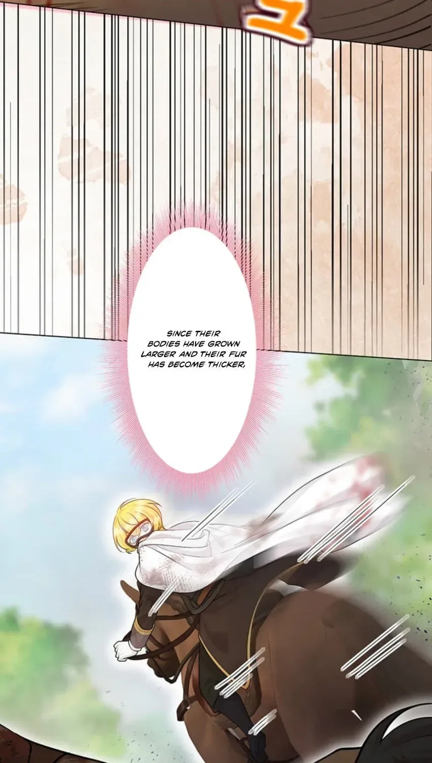 Seiken Reijou no Kareinaru Oshi Katsu ~Aisuru Kishi wa Watashi ga Zenryoku de Mamorimasu~ Chapter 19 page 95