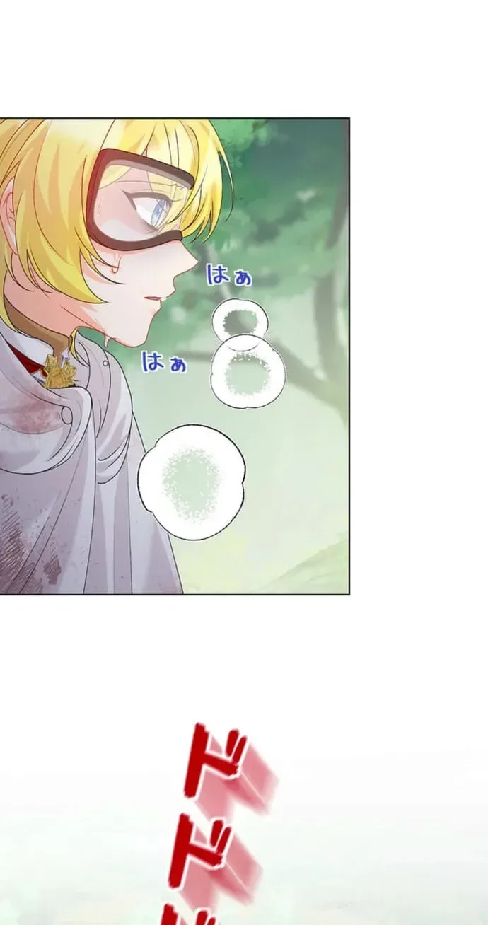 Seiken Reijou no Kareinaru Oshi Katsu ~Aisuru Kishi wa Watashi ga Zenryoku de Mamorimasu~ Chapter 20 page 67