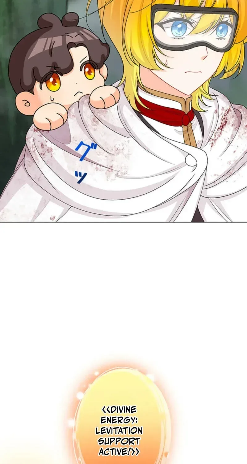 Seiken Reijou no Kareinaru Oshi Katsu ~Aisuru Kishi wa Watashi ga Zenryoku de Mamorimasu~ Chapter 21 page 25