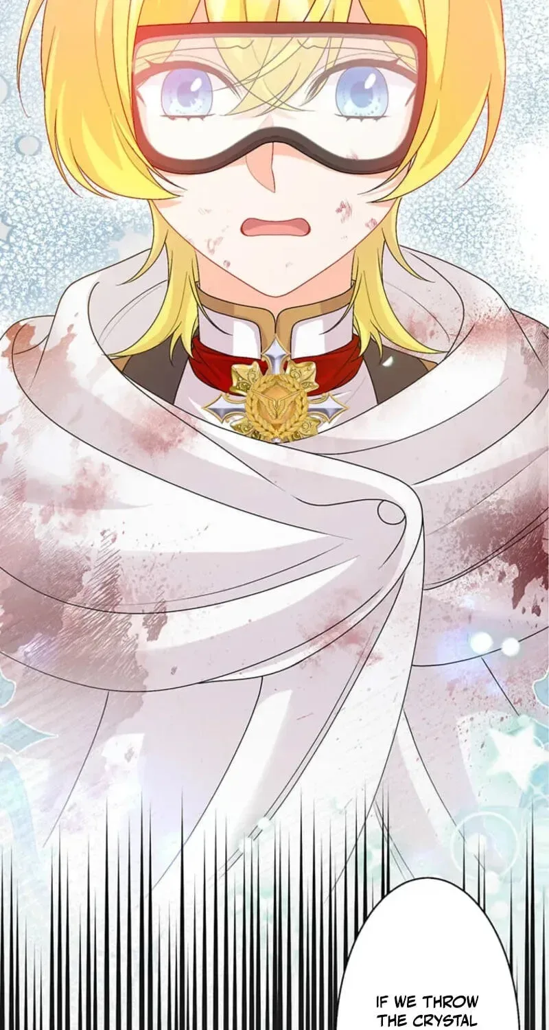 Seiken Reijou no Kareinaru Oshi Katsu ~Aisuru Kishi wa Watashi ga Zenryoku de Mamorimasu~ Chapter 21 page 3