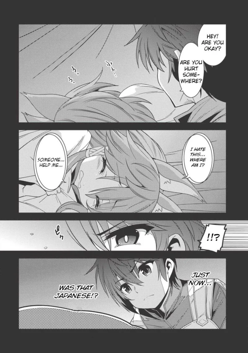 Seirei Gensouki Chapter 17 page 19