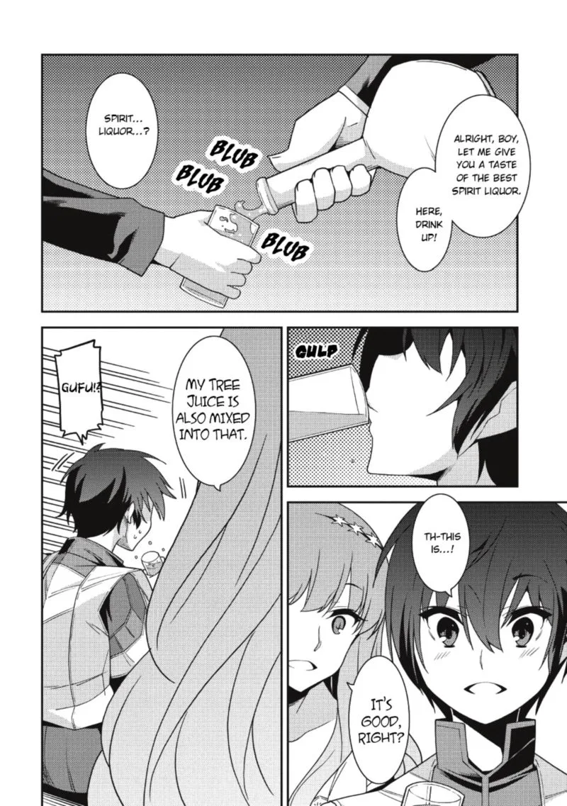 Seirei Gensouki Chapter 21 page 9