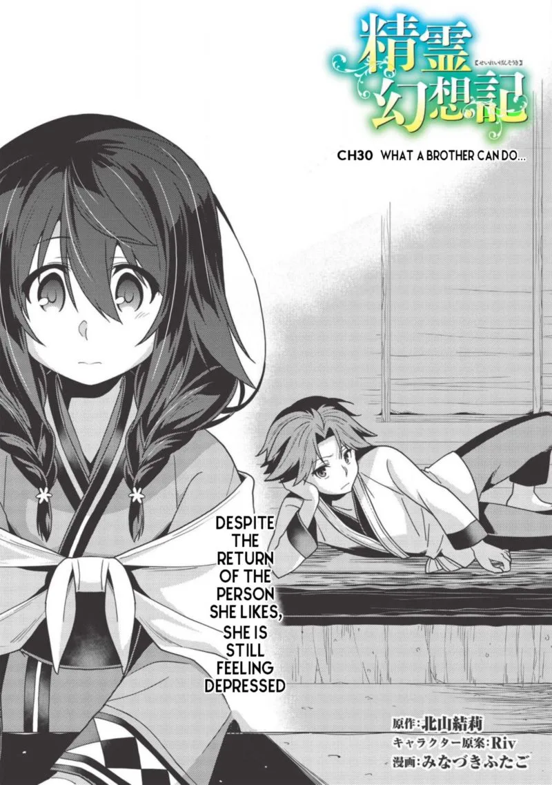 Seirei Gensouki Chapter 30 page 3