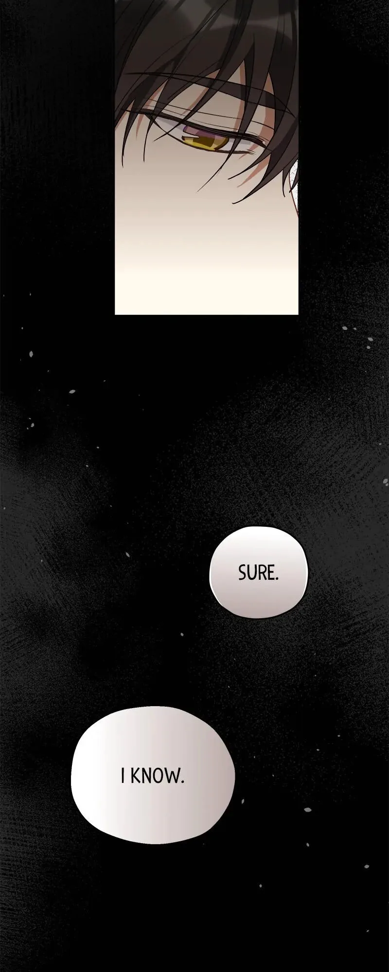 Sekkaku Reijou ni Hyoui Shita no ni Sude ni Yarakashita Nochi deshita! Chapter 16 page 77
