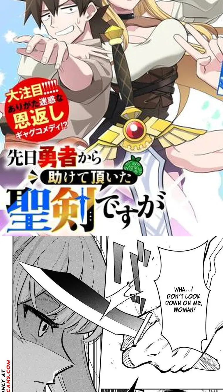 Senjitsu Yuusha kara Tasukete Itadaita Seiken desu ga Chapter 5.2 page 3