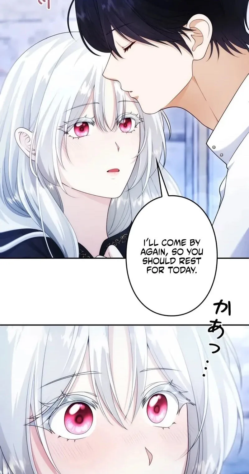 Setting Reset as the Duke's Daughter Chapter 36 page 14