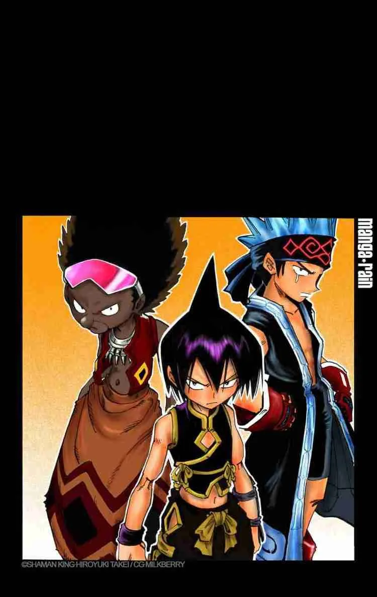 Shaman King Chapter 118 page 4