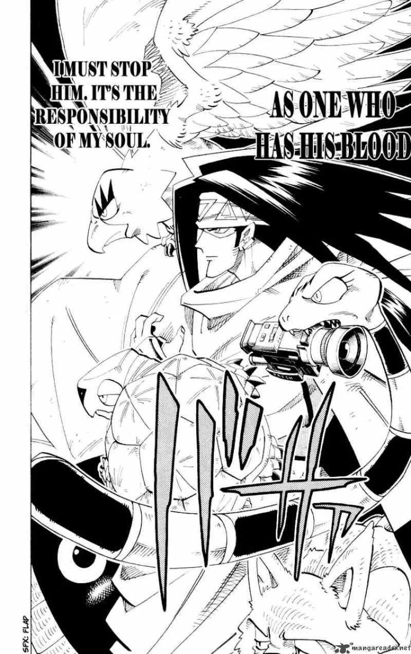 Shaman King Chapter 141 page 13