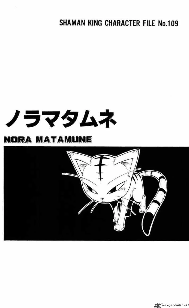 Shaman King Chapter 176 page 20