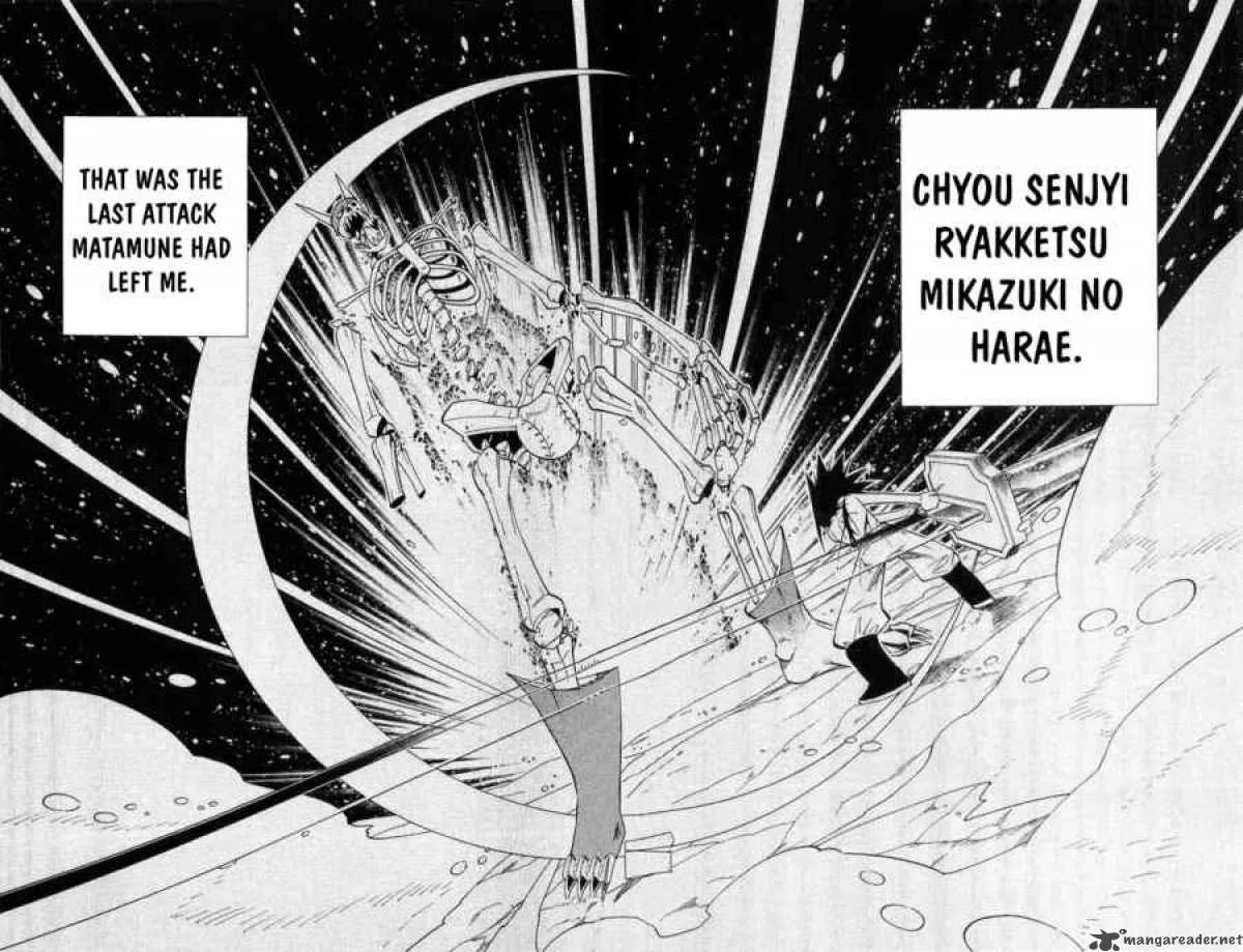 Shaman King Chapter 176 page 17