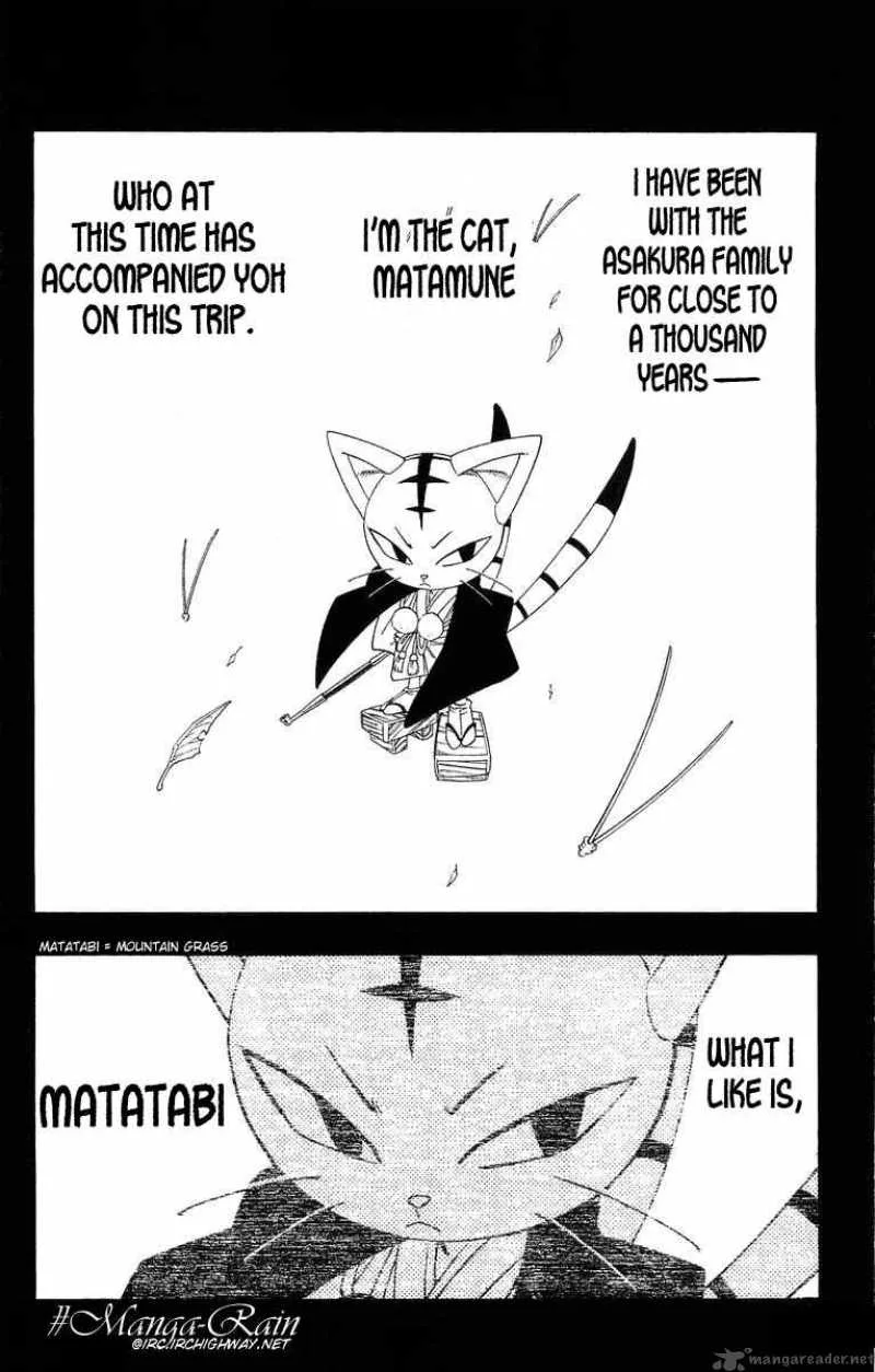 Shaman King Chapter 177 page 17
