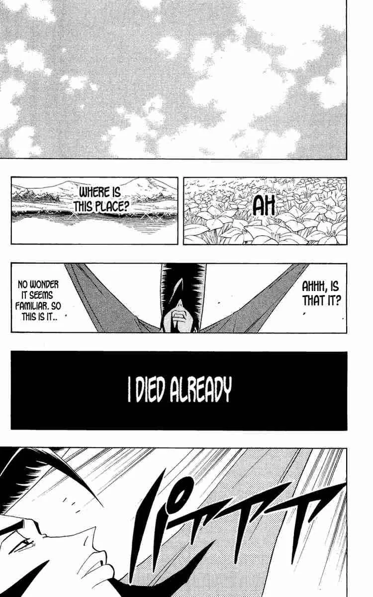 Shaman King Chapter 189 page 17