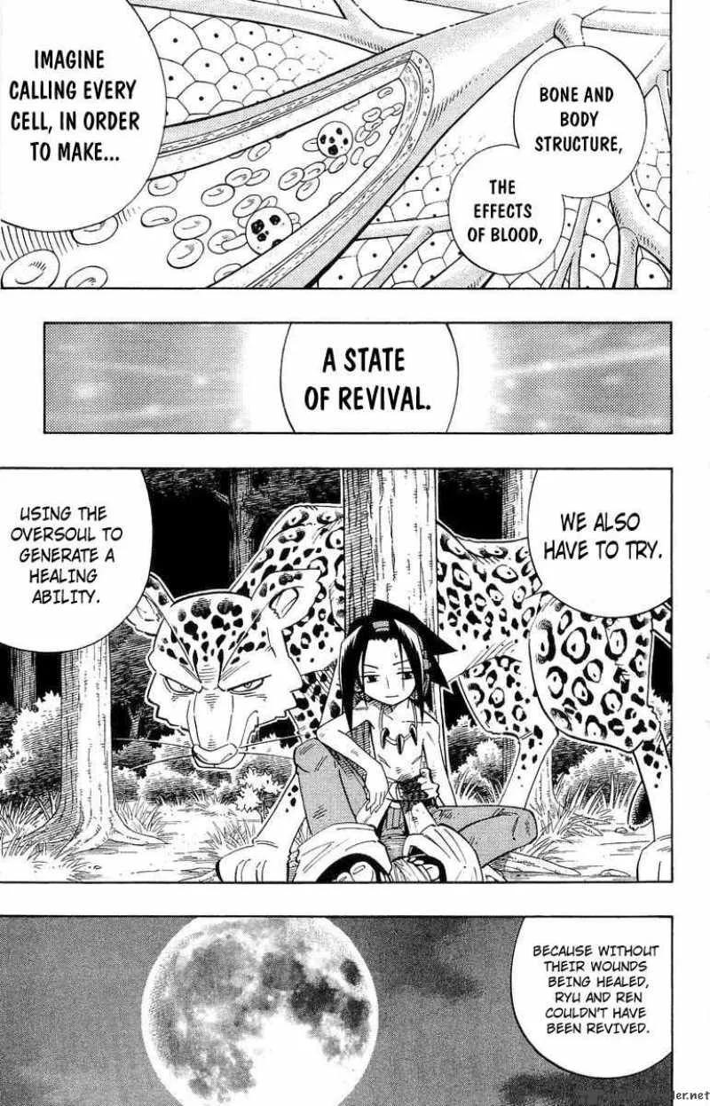 Shaman King Chapter 195 page 14
