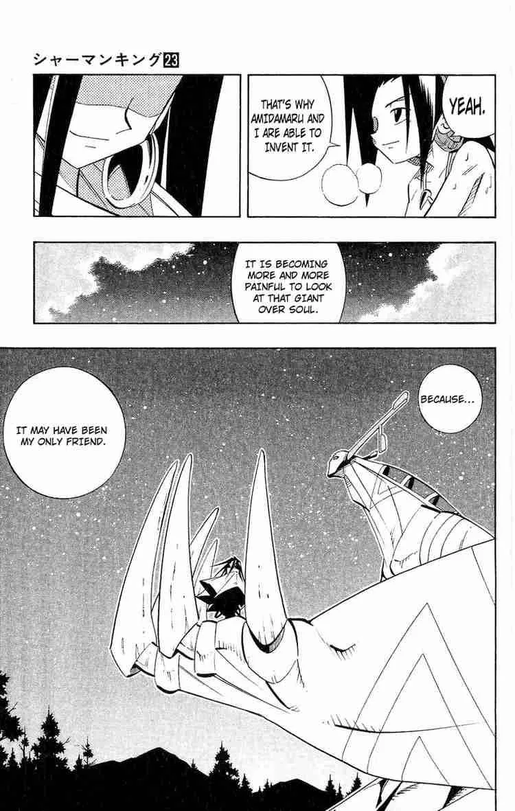 Shaman King Chapter 198 page 14