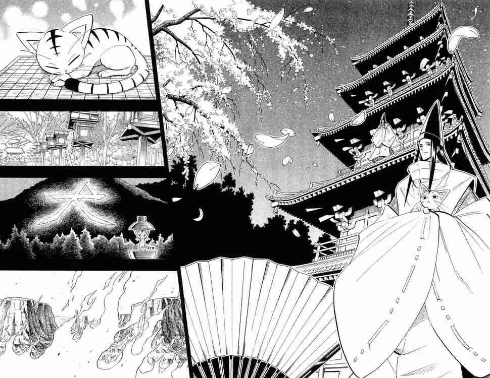 Shaman King Chapter 198 page 15
