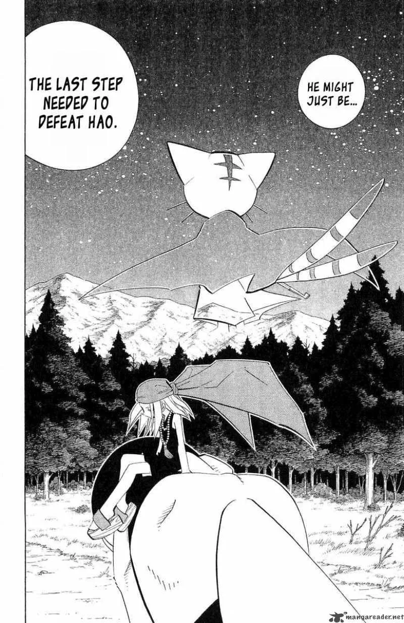 Shaman King Chapter 199 page 3