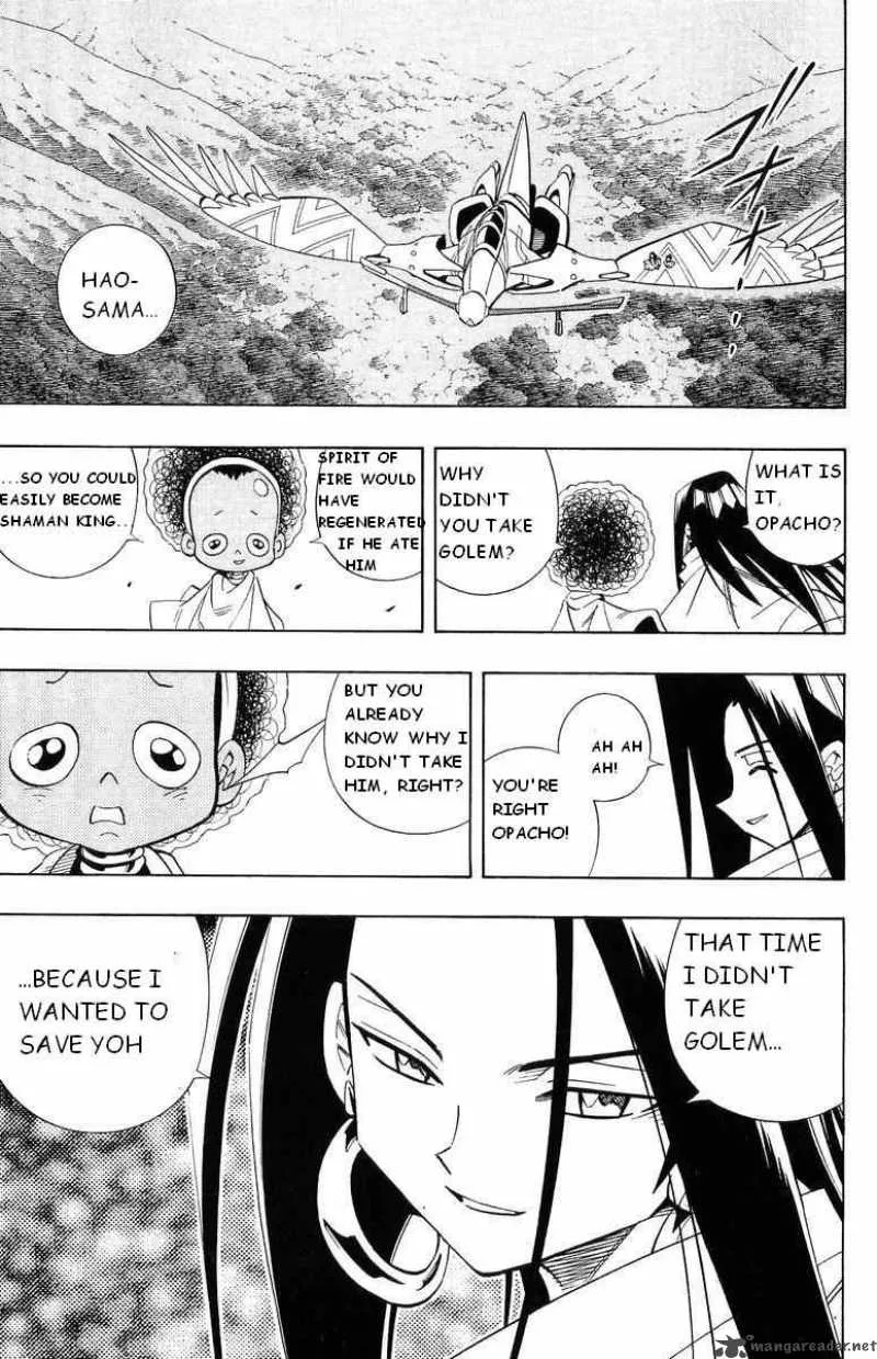Shaman King Chapter 202 page 13
