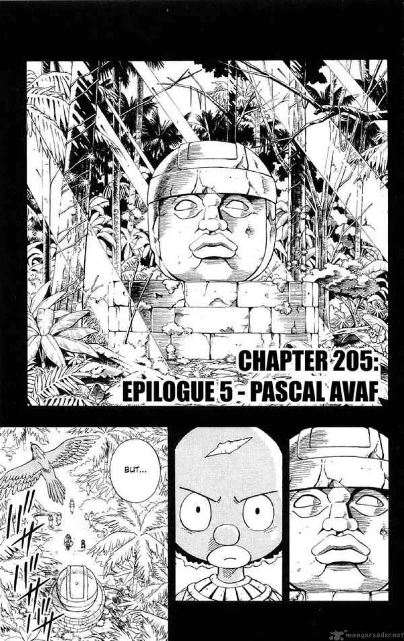 Shaman King Chapter 205 page 3