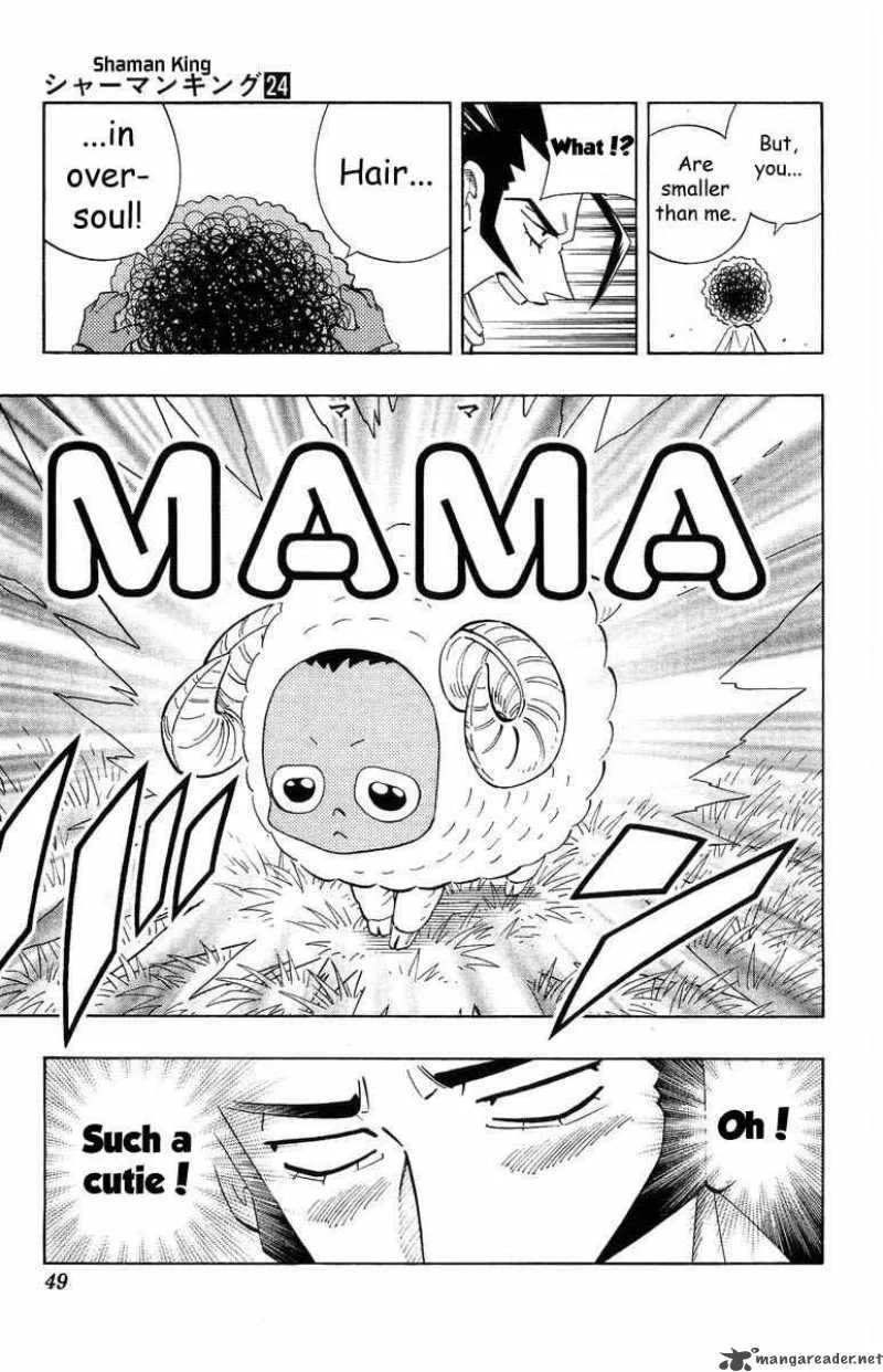 Shaman King Chapter 208 page 17
