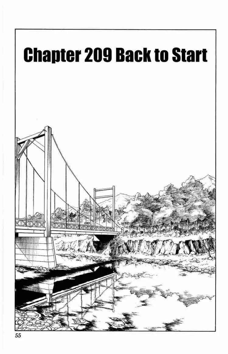 Shaman King Chapter 209 page 3