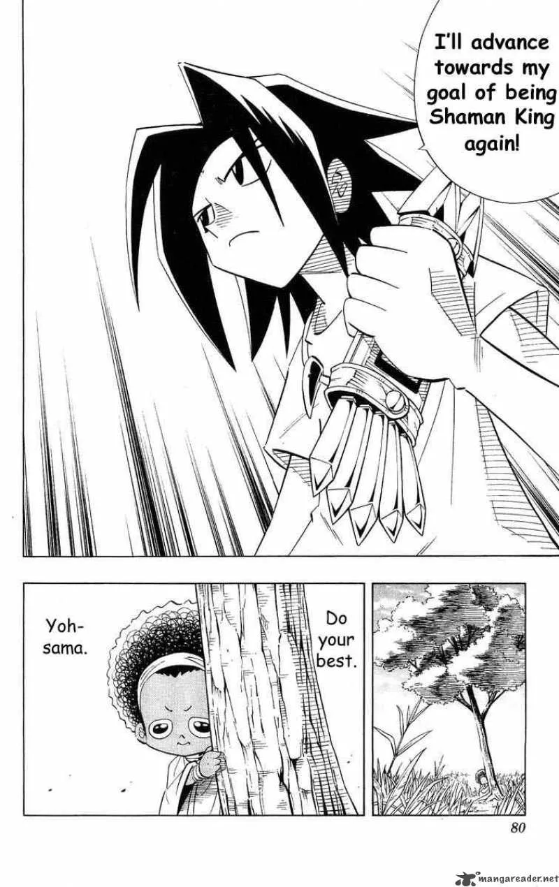 Shaman King Chapter 210 page 8