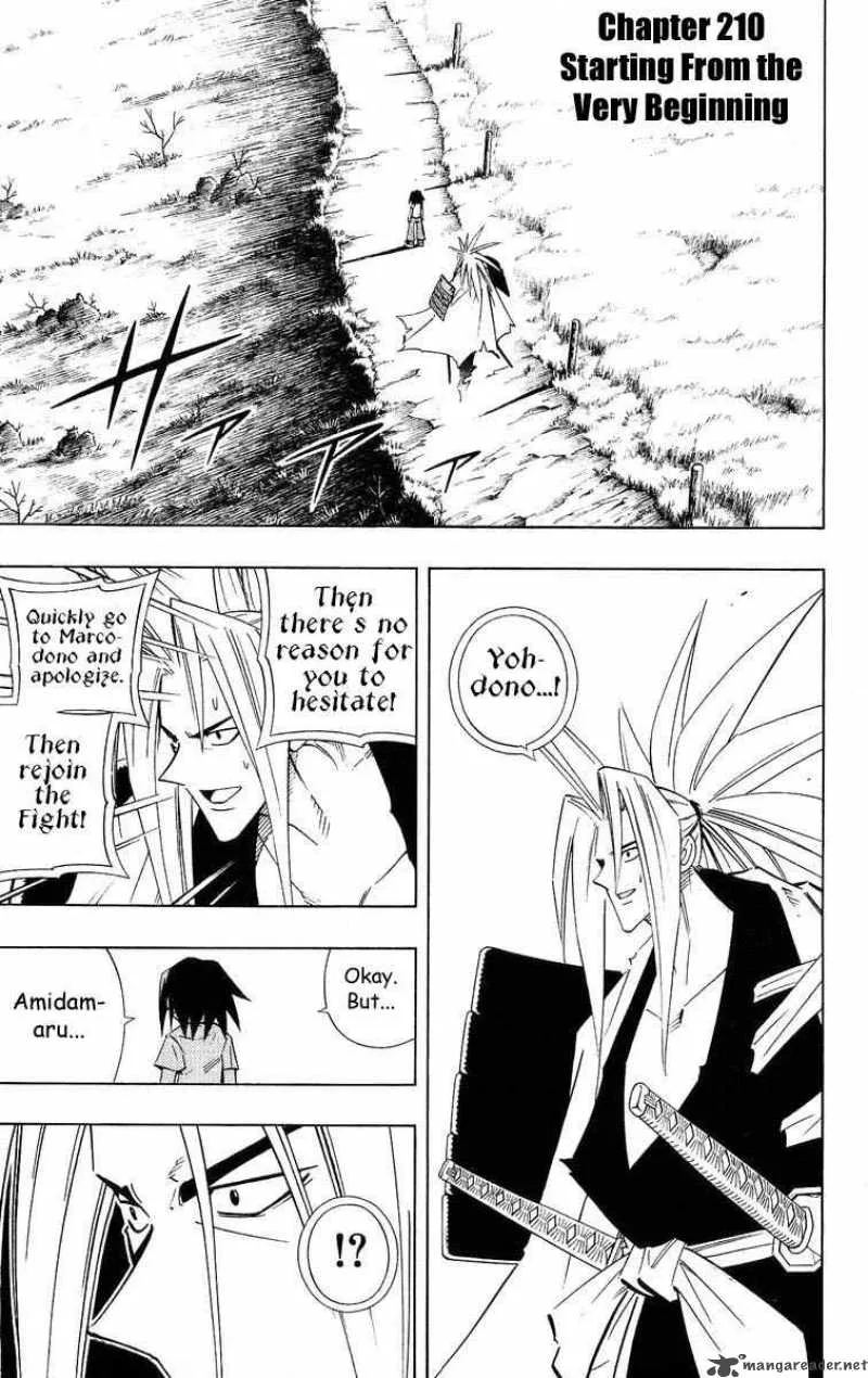Shaman King Chapter 210 page 1