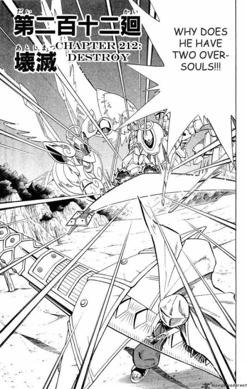 Shaman King Chapter 212 page 3