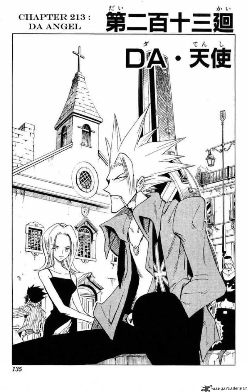 Shaman King Chapter 213 page 3