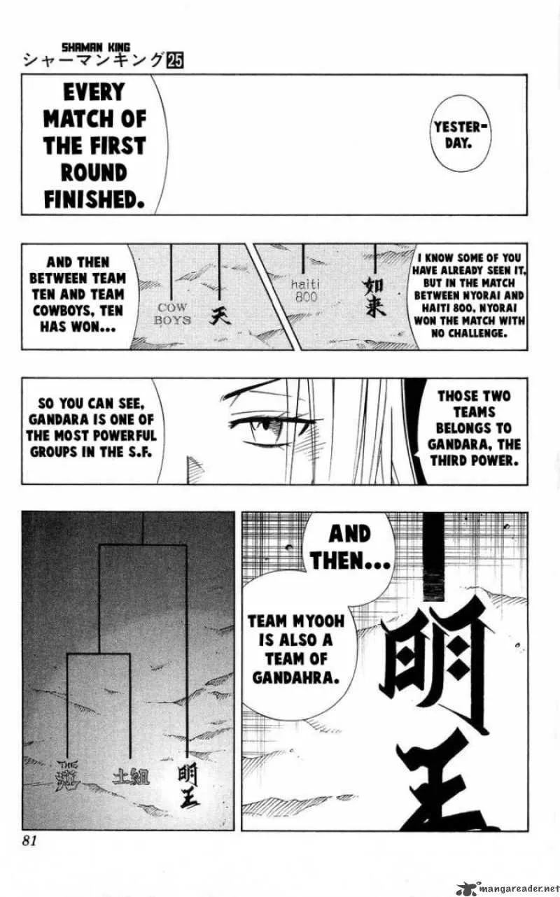 Shaman King Chapter 219 page 17