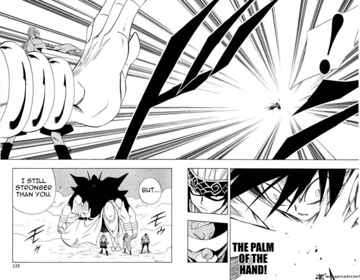 Shaman King Chapter 221 page 10