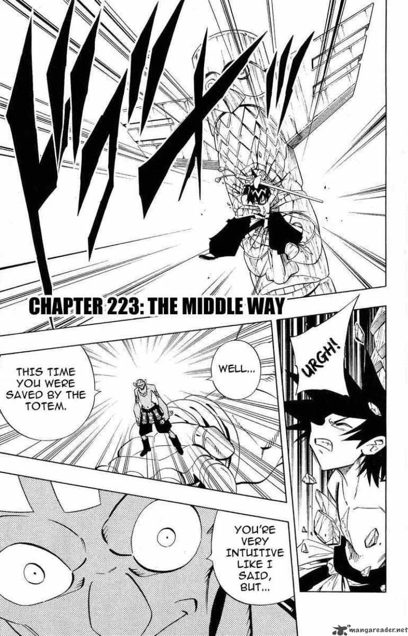 Shaman King Chapter 223 page 1