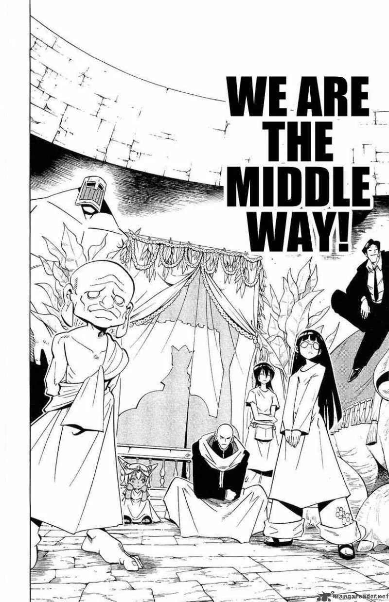 Shaman King Chapter 223 page 14