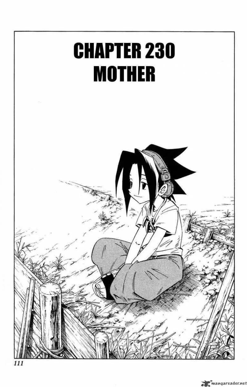 Shaman King Chapter 230 page 3