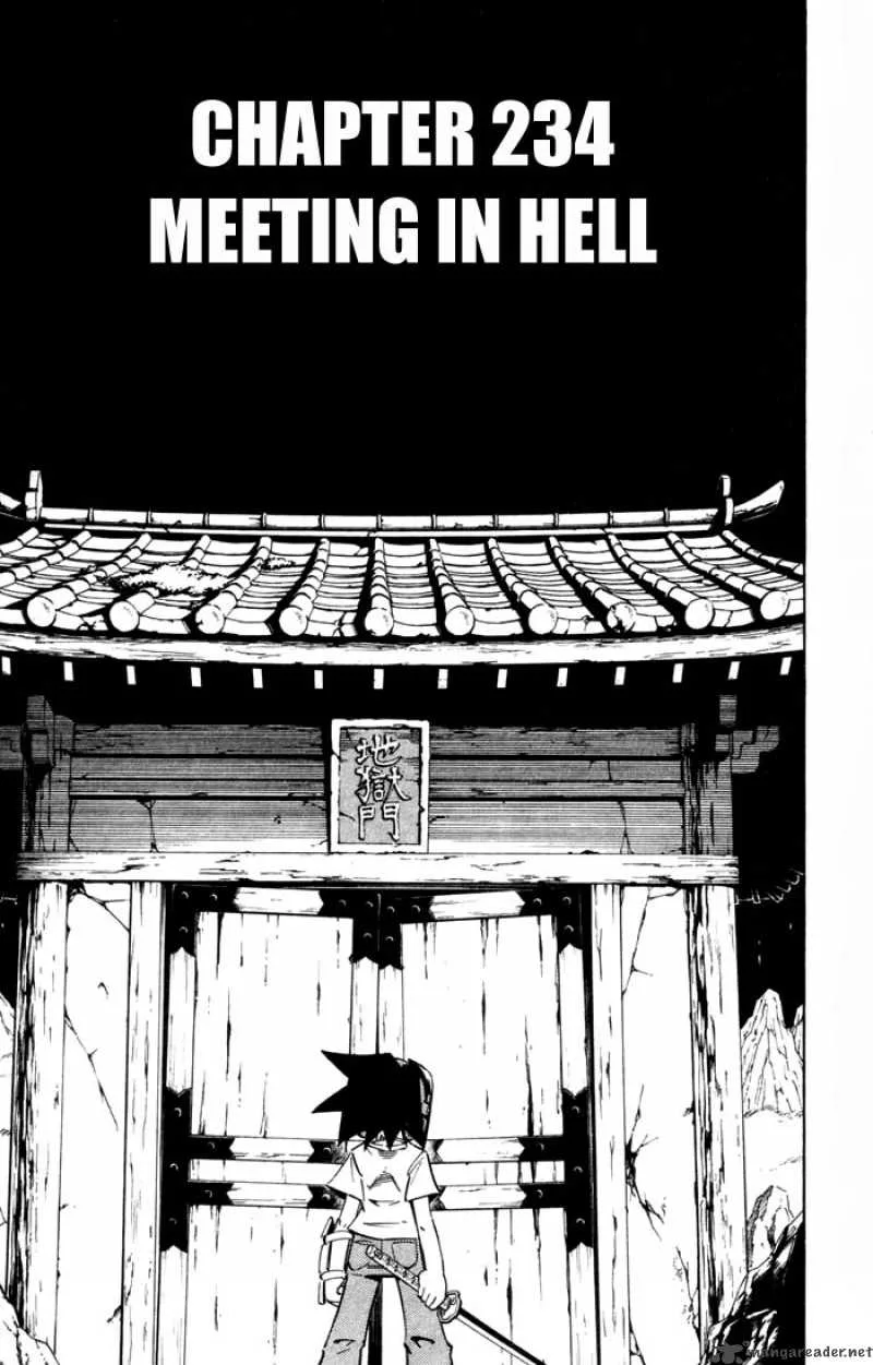 Shaman King Chapter 234 page 3
